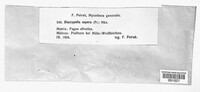 Image Associated With the Occurence